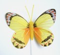 207761 Veren vlinder geel